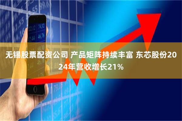 无锡股票配资公司 产品矩阵持续丰富 东芯股份2024年营收增长21%