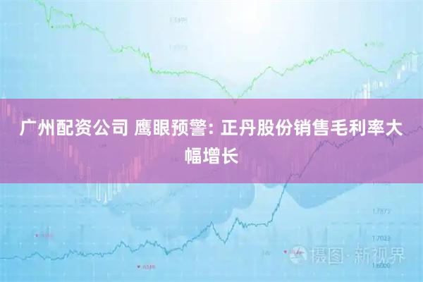 广州配资公司 鹰眼预警: 正丹股份销售毛利率大幅增长