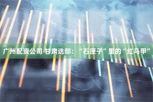 广州配资公司 甘肃迭部：“石匣子”里的“红马甲”